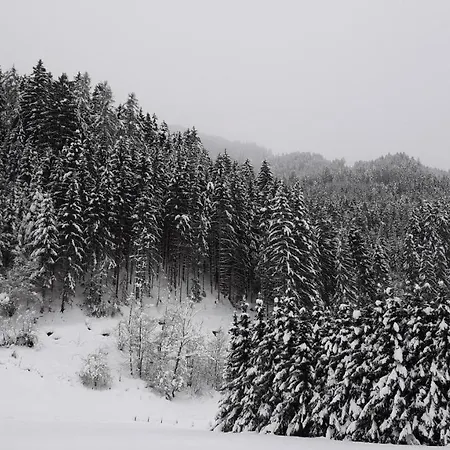 Gospodarstwo agroturystyczne Nieslerhof *
