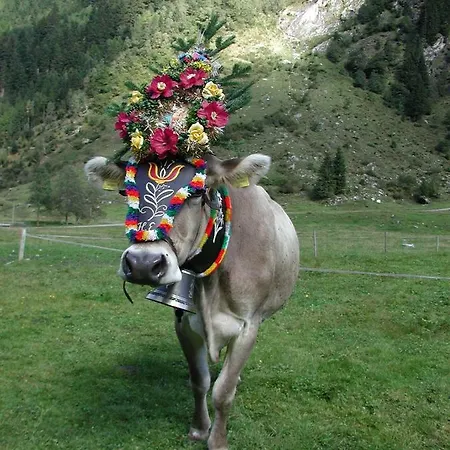 Nieslerhof * Mayrhofen