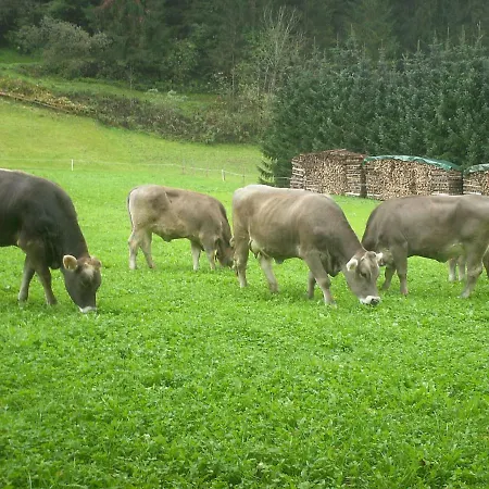 Nieslerhof Çiftlik konaklama Mayrhofen