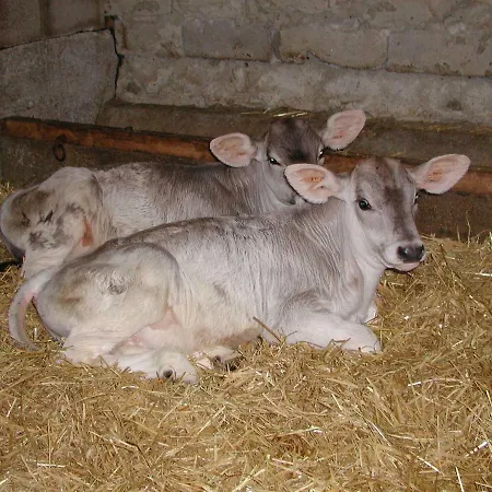 Nieslerhof Farm stay