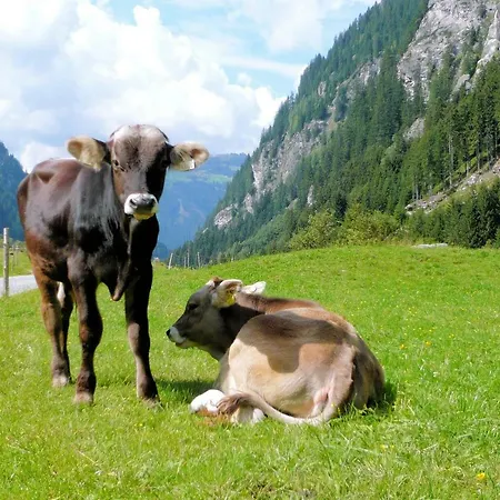 Gospodarstwo agroturystyczne Nieslerhof *