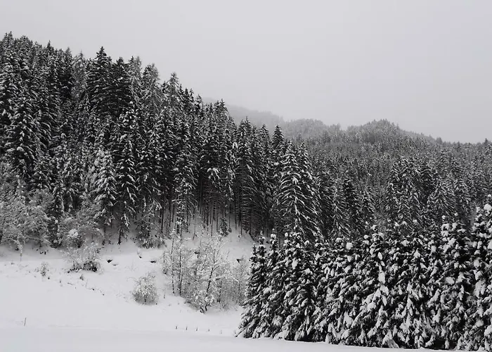 Agroturismo Nieslerhof *
