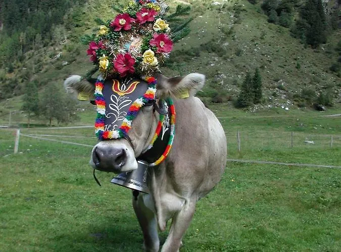 Nieslerhof * Mayrhofen