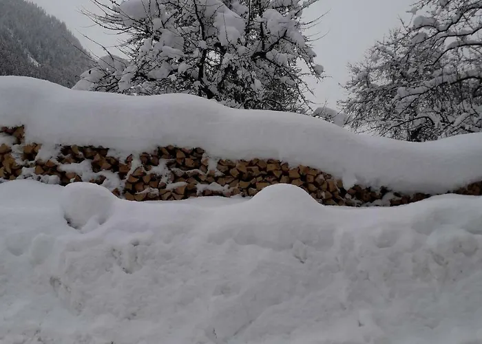 Nieslerhof * Mayrhofen