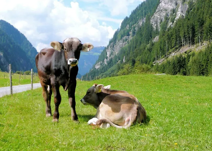 Agroturismo Nieslerhof *