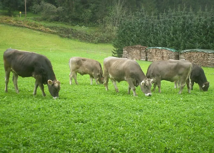Nieslerhof Vakantieboerderij Mayrhofen